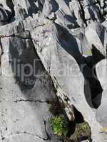 Karst Rocks In The Alps