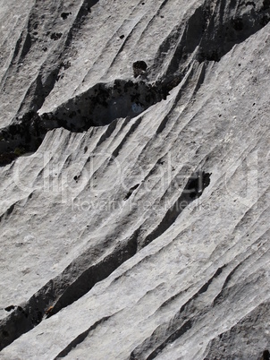 Rocks Sheped By A Glacier