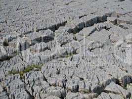 Karst Rocks Shaped Like A Brocken Chocolate Bar