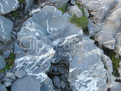 Rocks Polished By A Glacier