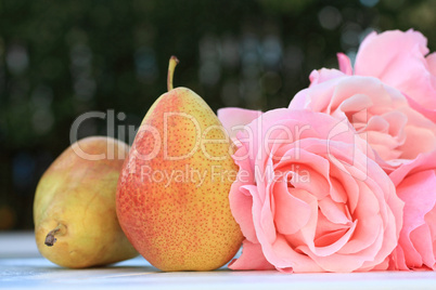 Pears and roses in the garden