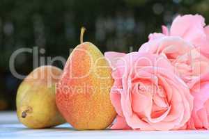Pears and roses in the garden