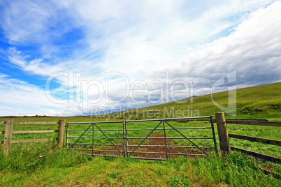 Scottish fields with wooden fence