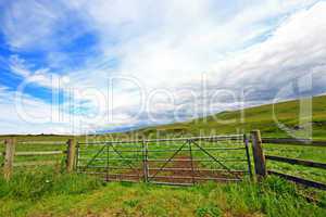 Scottish fields with wooden fence