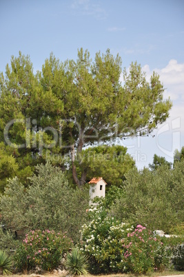 Garten in Kroatien