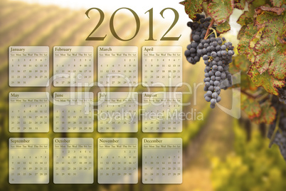 2012 Calendar with Grape Vineyard Background