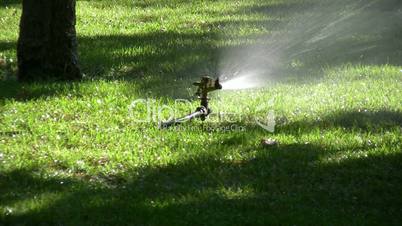 Sprinklers in the garden