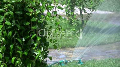 Sprinklers in the garden