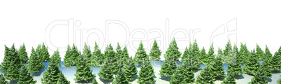 Firtree forest landscape isolated