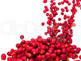 Harvest: Ripe red apple flow isolated