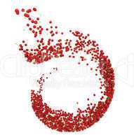 Red cherry flow isolated on white