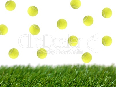 Tennis Balls