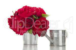 Bucket of red roses next to watering
