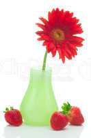 red gerbera in a vase and strawberries isolated on white