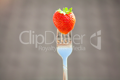 strawberry on a fork in the daylight