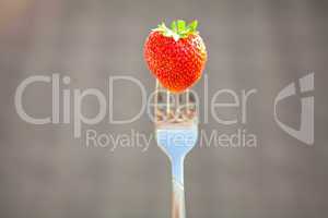 strawberry on a fork in the daylight