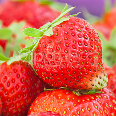 strawberries in a bowl in the daylight