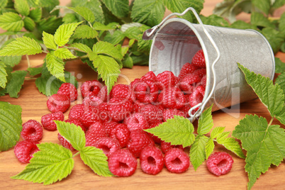 Frische Himbeeren