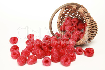 Frische Himbeeren