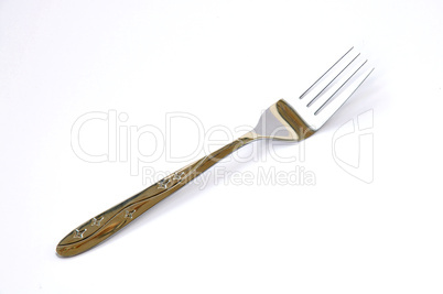 Stainless fork
