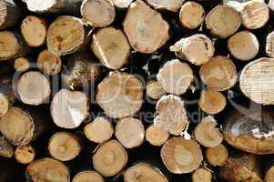 Pile of log