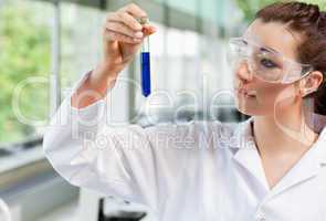Science student looking at a test tube