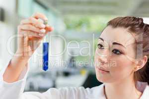 Student looking at a test tube