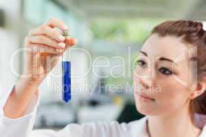 Young student looking at a test tube