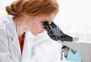 Close up of a science student looking into a microscope