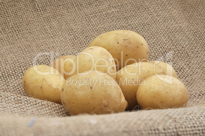 frische Kartoffeln auf einem Kartoffelsack