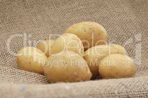 frische Kartoffeln auf einem Kartoffelsack