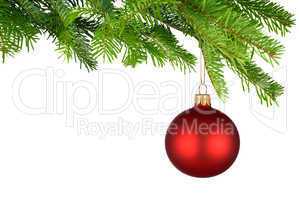 Rot leuchtende Christbaumkugel hängt am frischen Zweig