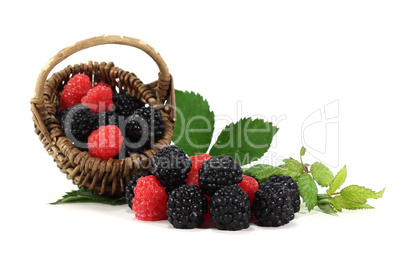 Brombeeren und Himbeeren