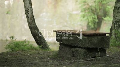 Sitzbank am See im Wald