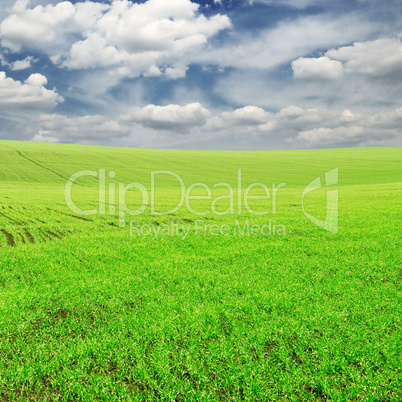 green field