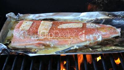 Cooking Fresh Salmon On Barbecue