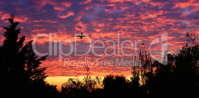 Panorama eines Flugzeuges am Morgenhimmel bei Sonnenaufgang