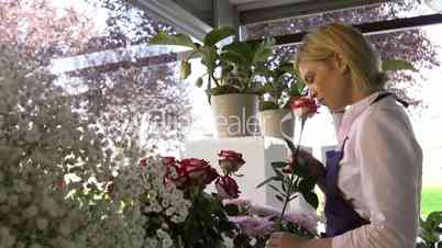 Girl at work in flowers shop and smelling red roses