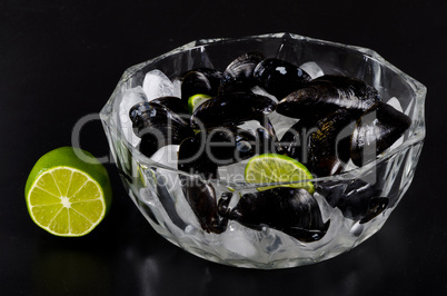 Mussels