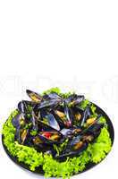 Mussels