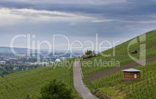 landscape with vineyard in south germany