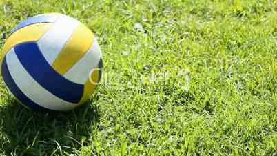 Ball auf dem Rasen
