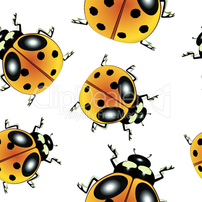 ladybugs pattern