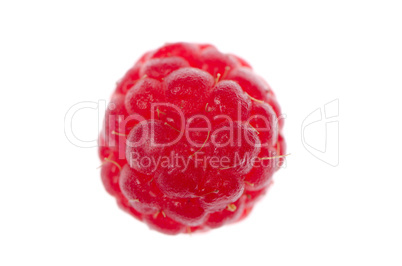 Red raspberry