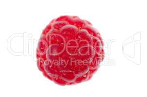 Red raspberry