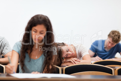 Students working while their classmate is sleeping