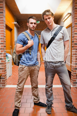 Portrait of handsome students posing