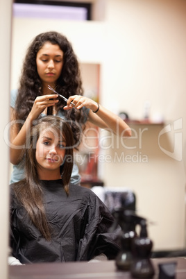 Portrait of a woman having a haircut