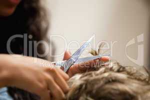 Close up of feminine hands cutting hair