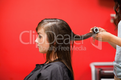 Young woman having her hair rolled